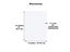 10pcs Clear Acrylic Sheet For Picture Frame Glass Replacement 1.0mm Thickness Carousel 1