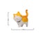 Cute Cat Series Ornaments For Home Decoration Mini Funny Animal Craft Figurine Carousel 1