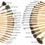 Makeup Brushes Set 32PCS Carousel 2