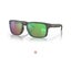 Oakley Sunglasses Holbrook Woodgrain PRIZM Shallow Water Polarized Lens Carousel 1