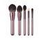 Makeup Brush Set 5PCS Carousel 1