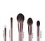 Makeup Brush Set 5PCS Carousel 2