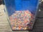 Rainbow gravel 2kg Carousel 1