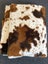 Cow print fabric Carousel 1