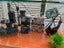 fish tank and accessory Carousel 4