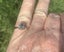 1.5 ct NATURAL DIAMOND IN 18 ct WHITE GOLD RING Carousel 7
