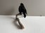 Taxidermy Blackbird perched on a branch Carousel 3