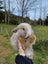 Burebred Mini Lop Rabbits Carousel 7