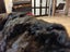 Newly Crafted Single Black Real NZ Possum Full Fur Throw - No Reserve! - B6517 Carousel 4