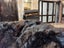 Newly Crafted Single Black Real NZ Possum Full Fur Throw - No Reserve! - B6517 Carousel 5