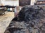 Newly Crafted Single Black Real NZ Possum Full Fur Throw - No Reserve! - B6517 Carousel 6
