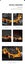 Loading Image 2 of 19
