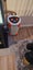 240ltr complete fish tank Carousel 6