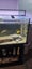 240ltr complete fish tank Carousel 5