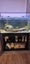 240ltr complete fish tank Carousel 9