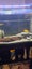 240ltr complete fish tank Carousel 11