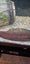 240ltr complete fish tank Carousel 12