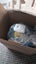 Loading Image 4 of 4