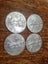 Silver Ounce USA Eagle 2013 Carousel 4