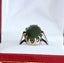 Edwardian pounamu 9ct rose gold ring Carousel 6
