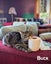 Animal Care Turangi - BUCK & GRACE Carousel 6
