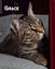Animal Care Turangi - BUCK & GRACE Carousel 3