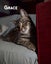 Animal Care Turangi - BUCK & GRACE Carousel 5
