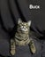Animal Care Turangi - BUCK & GRACE Carousel 12