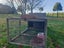 Mini Lop Bunnies Carousel 12