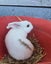 Cute Rabbits Carousel 1