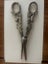 Silver grape scissors Carousel 3
