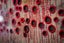 Golden Bay heART for Gaza - Hind Rajib Artwork Carousel 5