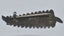 NZRL SILVER FERN SWEETHEART BADGE Carousel 2