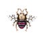 Inlay Rhinestone Simulated Pearl Bee Brooch Brooches Veile Studios Standard Carousel 2