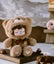 Rolife Surprise Plush Dolls - Nanci Colorful Chocolate Cutie Bears MNAXX Carousel 5