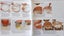 Chefs set of 24 Time Life cook books Carousel 5
