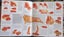 Chefs set of 24 Time Life cook books Carousel 2