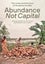 Abundance not Capital by Angelika Fitz - Paperback Carousel 1