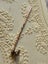 Antique 9ct Gold Emerald Stick Pin Jewellery $1 Reserve Carousel 10