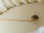 Antique 18ct Gold Pearl Stick Pin Jewellery $1 Reserve Carousel 5