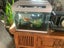 Aqua One EcoStyle 47 38L Plus 2 x Goldfish & Accessories Carousel 1