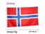 NORWAY Flag Norwegian Kindom Flags 3x5 FT European Country National Decoration Carousel 1