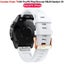 Garmin Fenix Strap for 7S Pro 6S Pro 5S Plus Carousel 6
