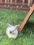 Mini lop bunnies Carousel 3