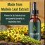 Mullein Leaf Extract Carousel 6