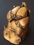 Pet Paw Casting Kit - by Hamilton Lifecasting Studio Carousel 1