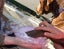 Pet Paw Casting Kit - by Hamilton Lifecasting Studio Carousel 5
