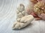 Pet Paw Casting Kit - by Hamilton Lifecasting Studio Carousel 6