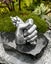 Pet Paw Casting Kit - by Hamilton Lifecasting Studio Carousel 12