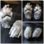 Pet Paw Casting Kit - by Hamilton Lifecasting Studio Carousel 15